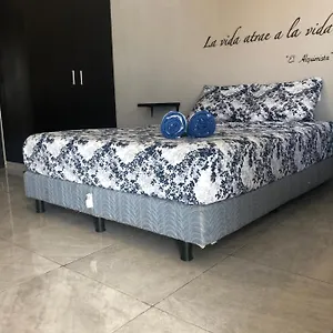  Apartment Mayan Caribe Mexico